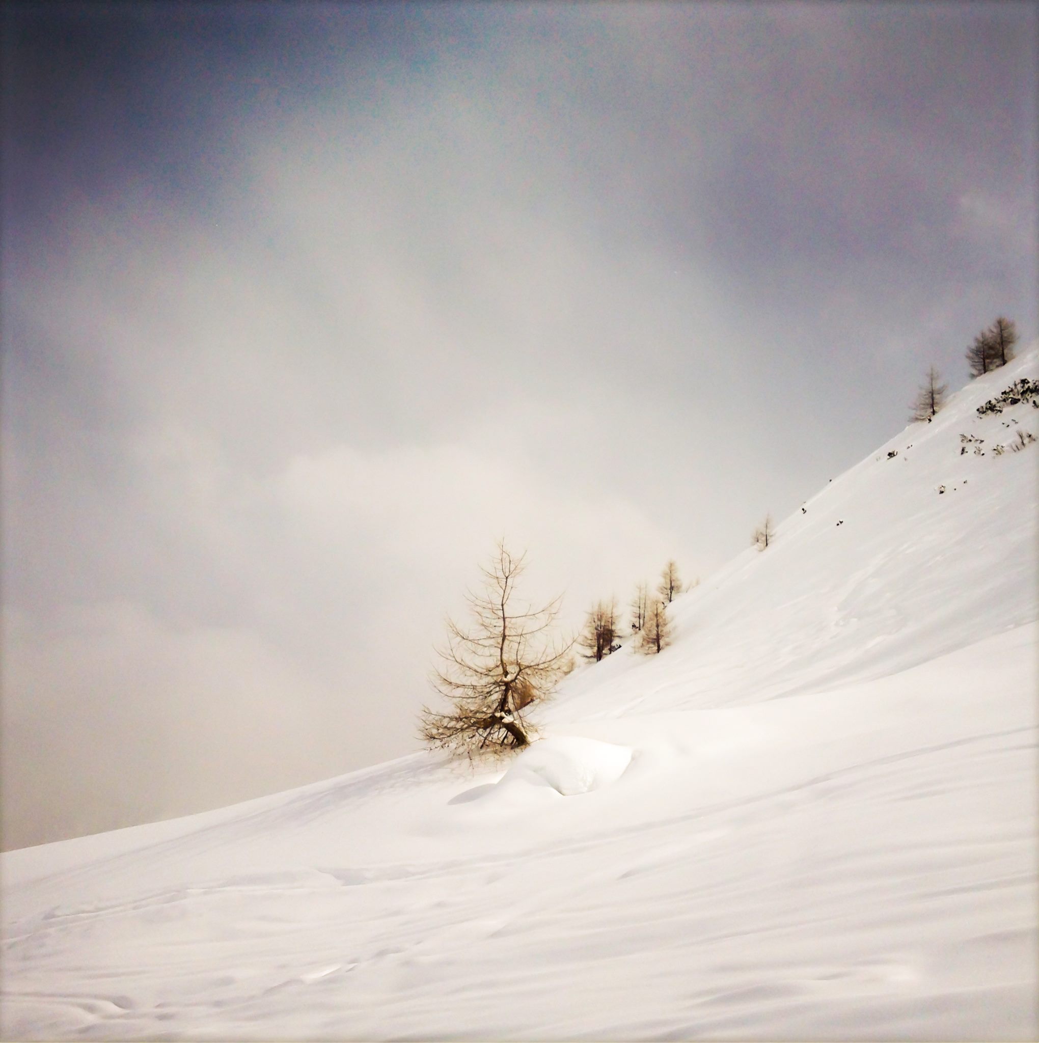 echilibru - Echilibru