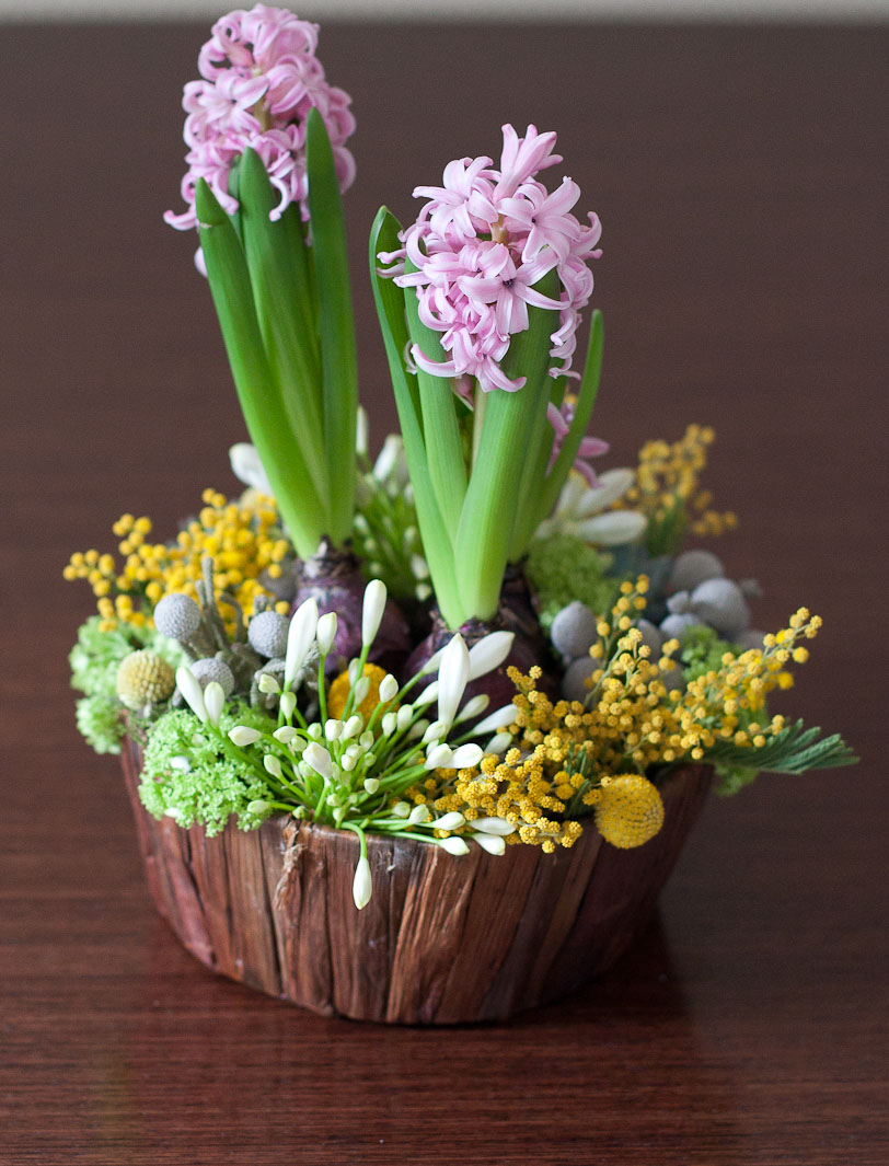 download14 - Purple Flowers