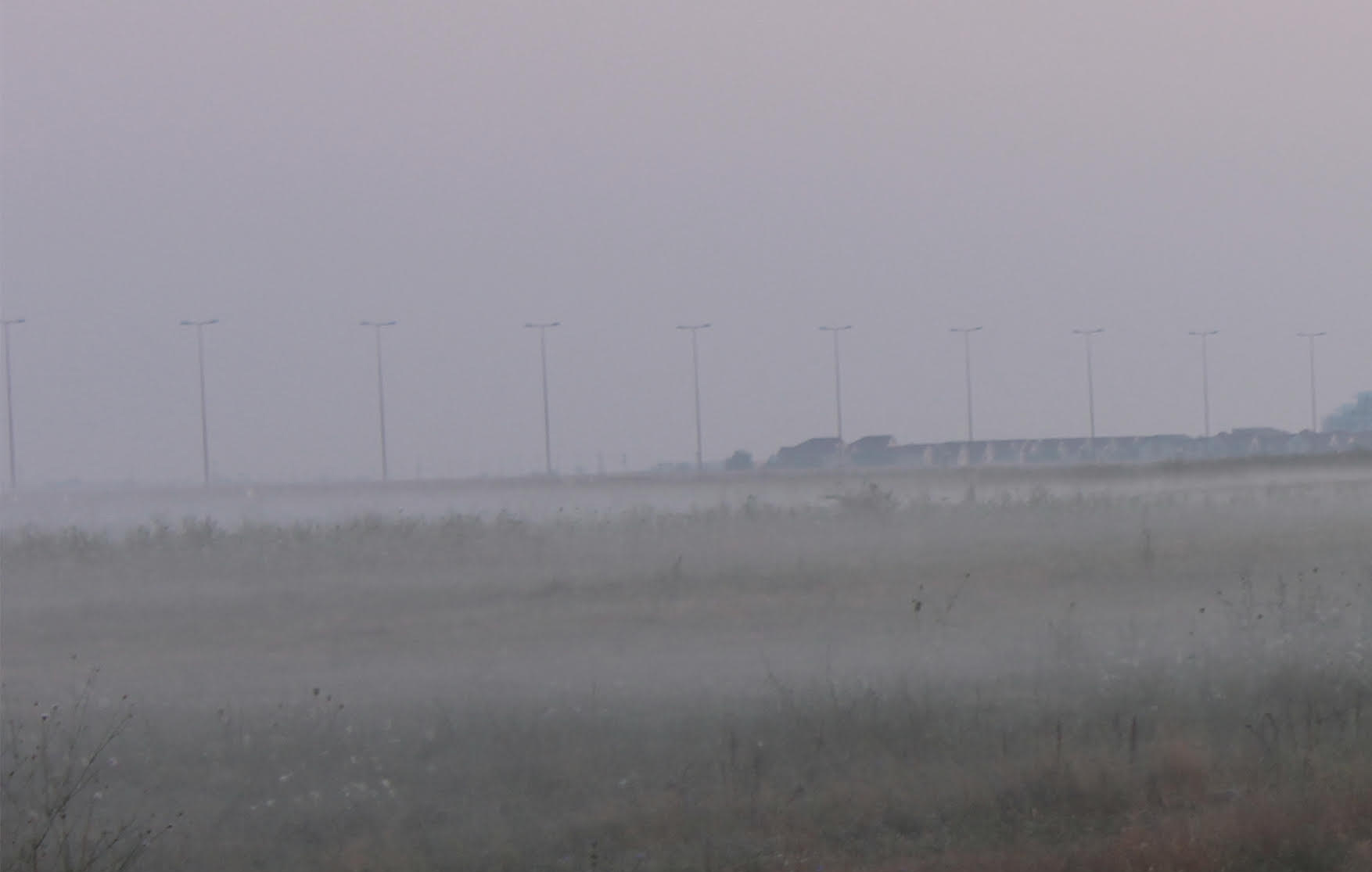 Afis expozitie de fotografie Colentina Ada Condeescu - Prima expozitie de fotografie a Adei Condeescu