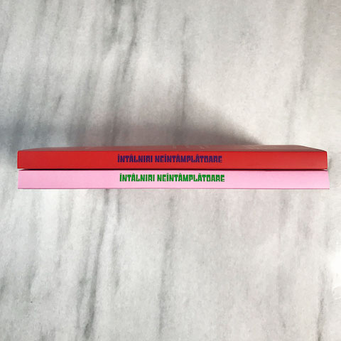 intalniri neintamplatoare noemi meilman Nina meets Yvonne - Intalniri neintamplatoare: Nina Cassian si Yvonne Hasan