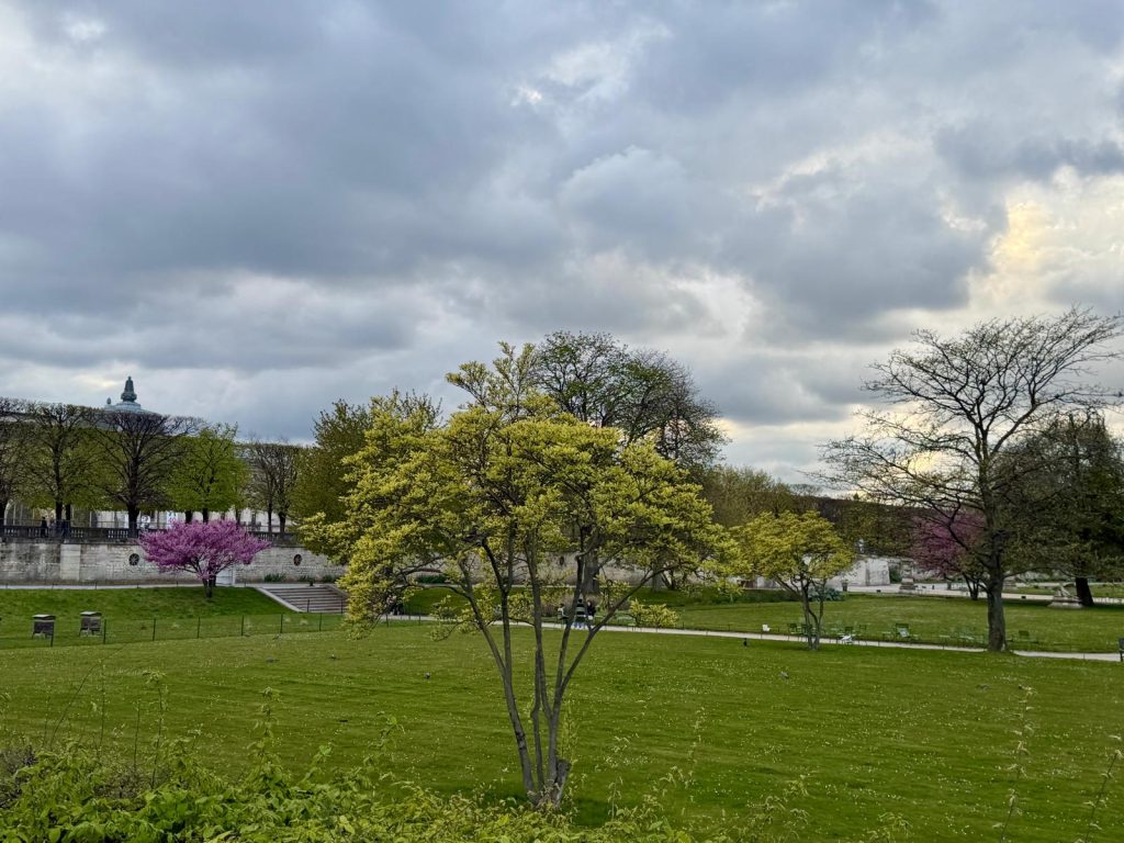 Paris in Bloom Parisul inflorit Fotografii Andreea Macri 10 - Paris in Bloom