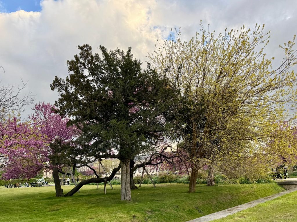 Paris in Bloom Parisul inflorit Fotografii Andreea Macri 12 - Paris in Bloom