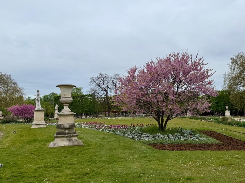 Paris in Bloom Parisul inflorit Fotografii Andreea Macri 15 - Paris in Bloom