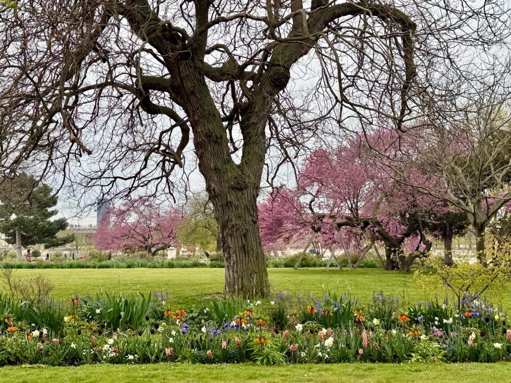 Paris in Bloom Parisul inflorit Fotografii Andreea Macri 17 - Paris in Bloom