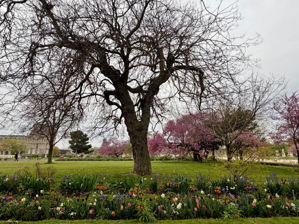 Paris in Bloom Parisul inflorit Fotografii Andreea Macri 18 - Paris in Bloom