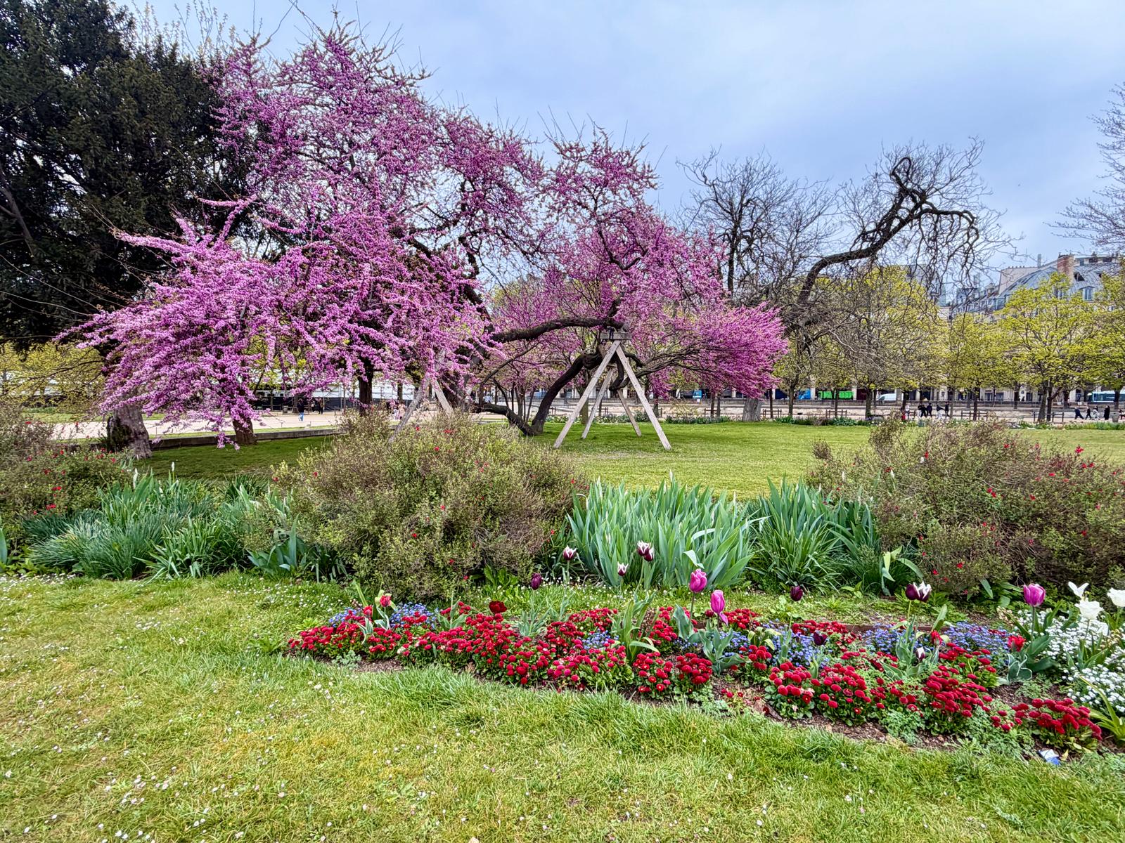 Paris in Bloom Parisul inflorit Fotografii Andreea Macri 19 - Paris in Bloom