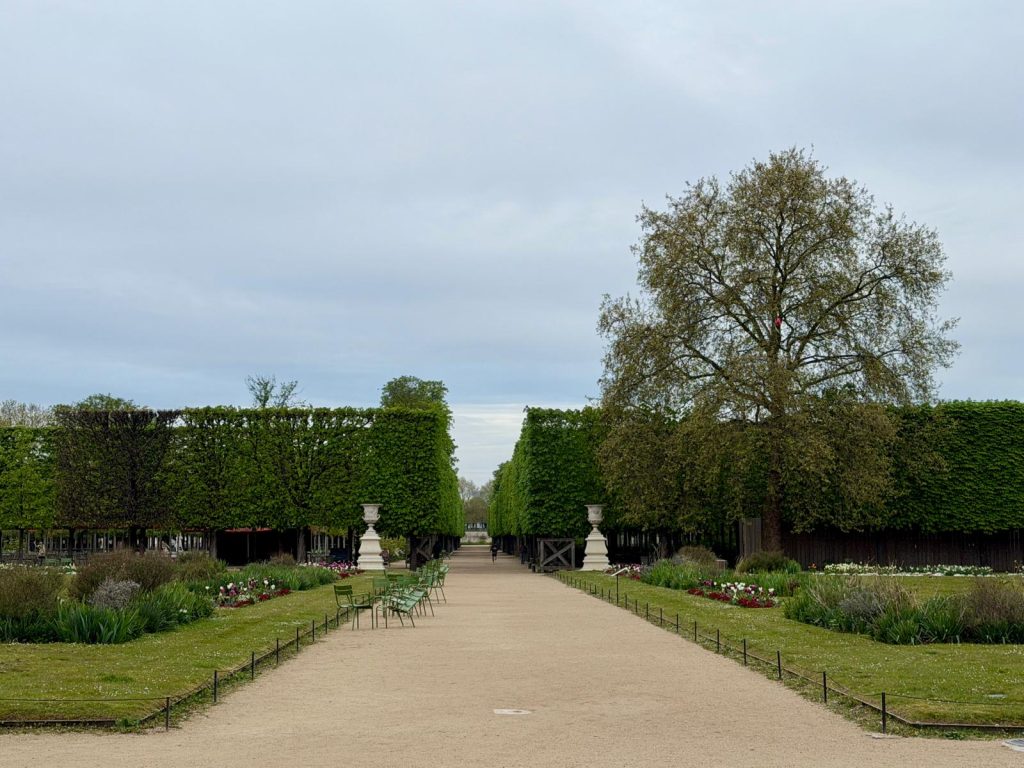 Paris in Bloom Parisul inflorit Fotografii Andreea Macri 4 - Paris in Bloom