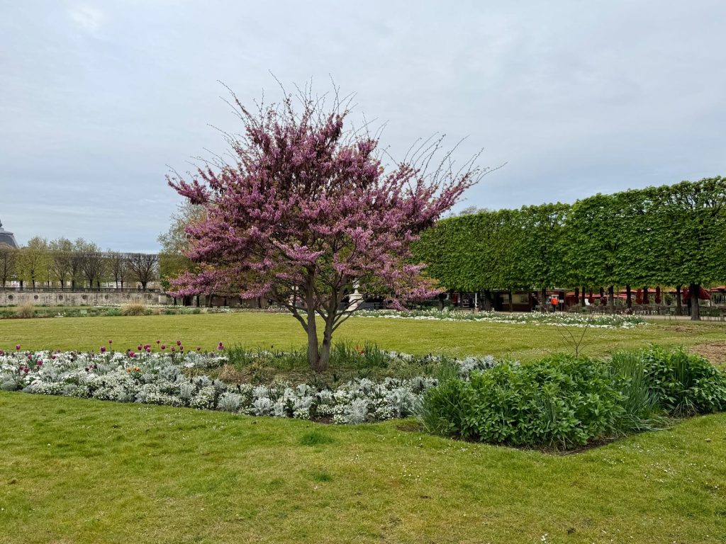 Paris in Bloom Parisul inflorit Fotografii Andreea Macri 5 - Paris in Bloom