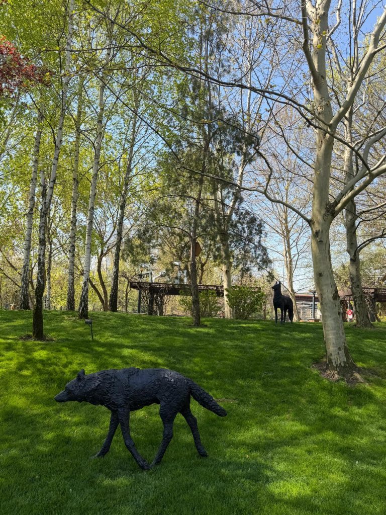 RAD Sculpture Park 2026 expozitie de arta in aer liber 22 - RAD Sculpture Park 2026. Expozitie de arta in aer liber.