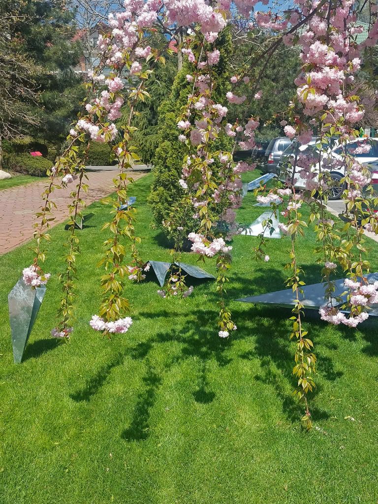 RAD Sculpture Park 2026 expozitie de arta in aer liber 5 - RAD Sculpture Park 2026. Expozitie de arta in aer liber.