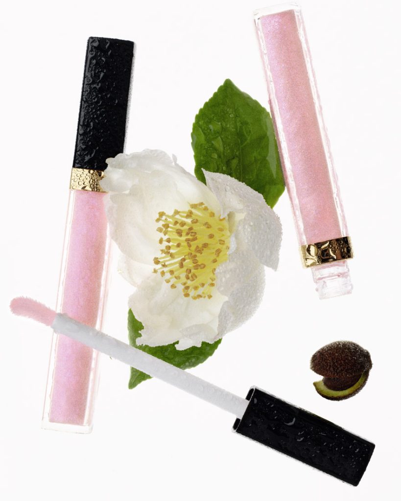 CHANEL Rouge Coco Hydra Gloss 4 1 - CHANEL Rouge Coco Hydra Gloss