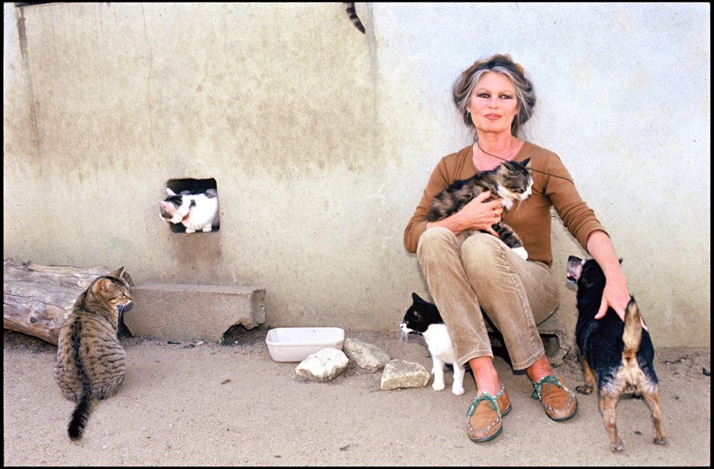 brigitte bardot viata si cariera 1 - Brigitte Bardot (1934 - 2025) - Viata & cariera
