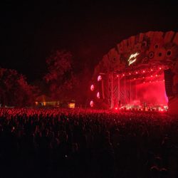 Always Forever music and lights